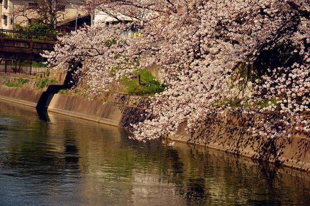 Art Stay In Tofukuji Kioto Exterior foto